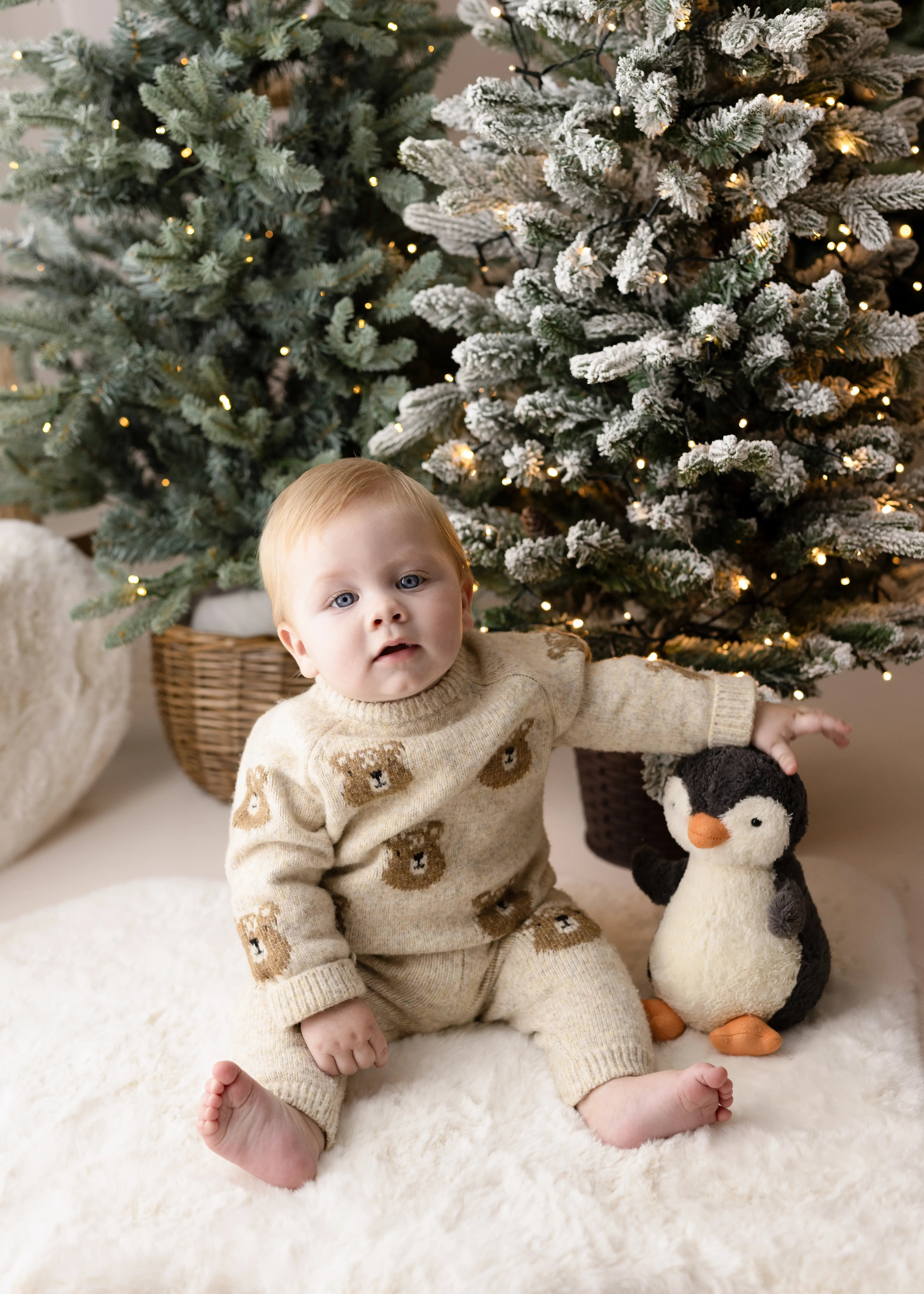 Little boy in a cosy teddy-bear-patterned sweater, seated among snowy evergreen trees with festive lights, holding a plush penguin for a charming Christmas photo.