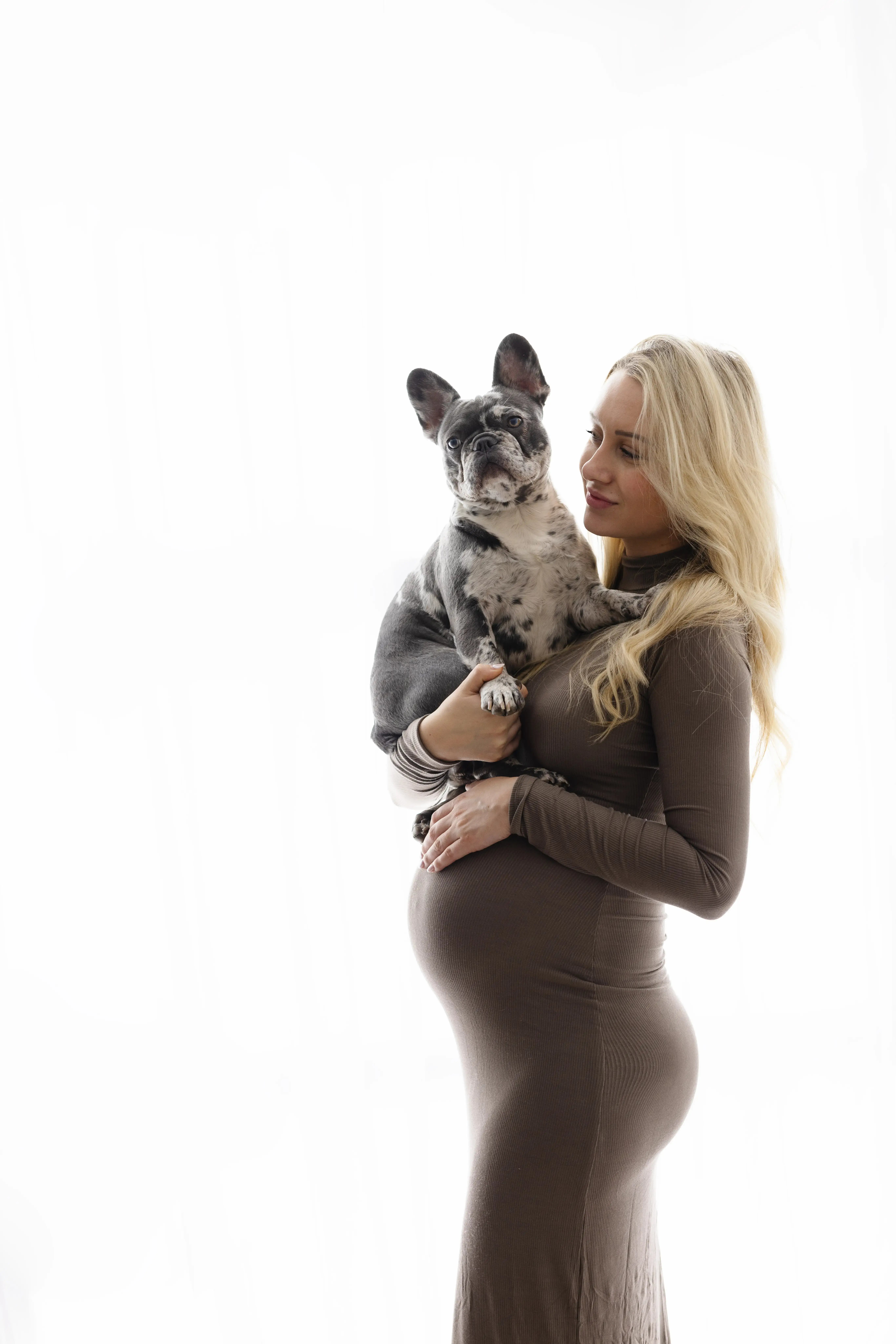 Standing pregnant woman in a warm brown dress, gently holding a speckled French Bulldog at chest level in a high-key studio setup, highlighting a playful and stylish maternity moment.