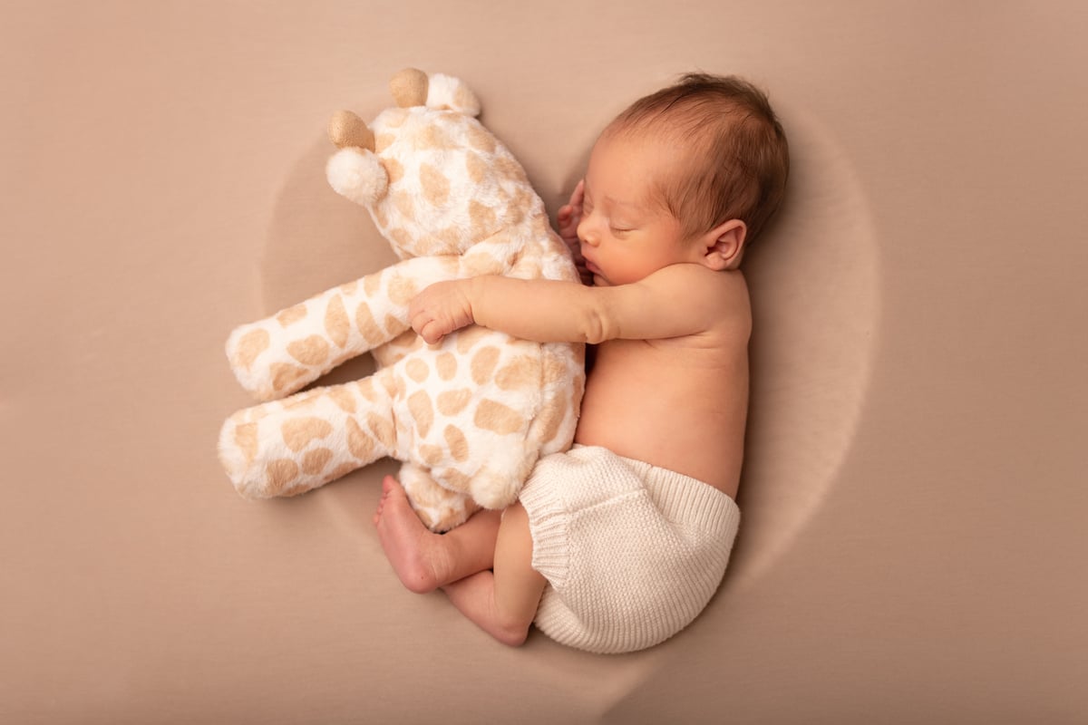 Newborn baby posed in a heart cuddling a toy giraffe